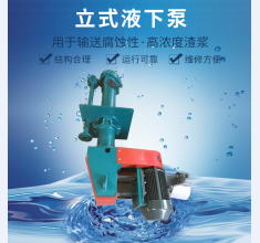 立(li)式液(ye)下泵(beng)